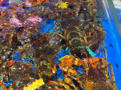 -徐记海鲜(曲江南湖店)