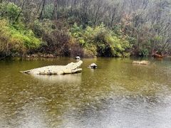 -天目湖山水园