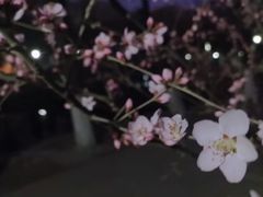 -满都海公园