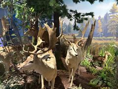 -陕西自然博物馆