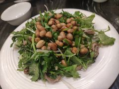 鲜沙姜捞猪肚-美极鲜食坊(宝安南路店)