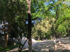 -山东大学(趵突泉校区)