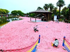 -苏州太湖西山岛开心农场