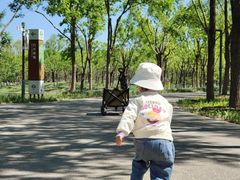 -东郊湿地公园