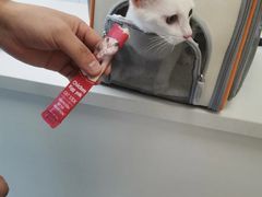 -康成宠物医院24H·CT·核磁共振