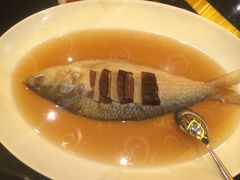 古法酒酿蒸鲥鱼-云门锦翠(商鼎国际店)