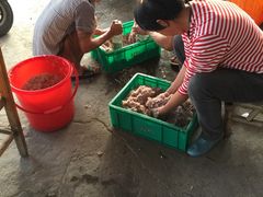 -浪琴湾尾角仔海鲜坊