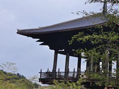 -大唐贡茶院