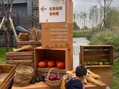 -中国天府农业博览园