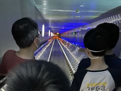-白鹤梁水下博物馆
