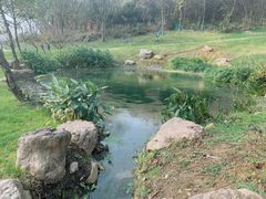 -羊山湖公园
