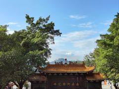 -深圳仙湖植物园