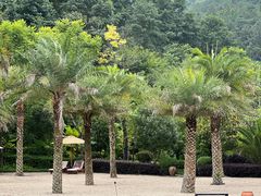 -腾冲洞山温泉村