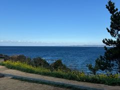 -滨千鸟之汤 海舟