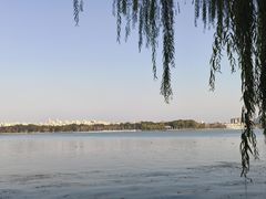 -金鸡湖桃花岛
