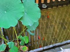 门面-竹里馆·淮扬菜·功夫茶(老门东店)