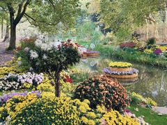 -上海共青森林公园