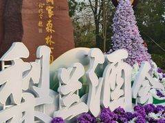 -江苏三台山国家森林公园