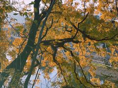 -溪口-滕头旅游景区