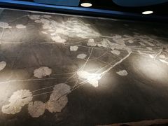 -四洞沟景区
