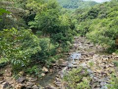 -广州白江湖森林公园