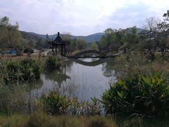 -石塘人家