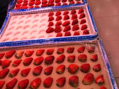 -新隆嘉生鲜超市(北二经街店)