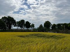 -光明小镇欢乐田园