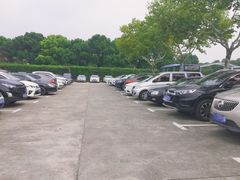 -野生动物园-停车场