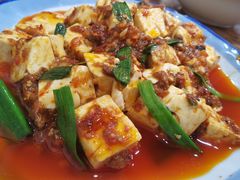 麻婆豆腐-雨田饭店