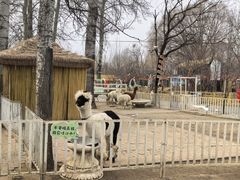 -1982农场