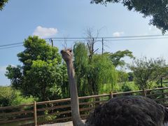 -苏州太湖西山岛开心农场