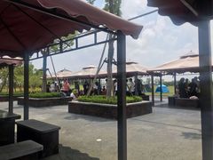 -春花秋色城市公园