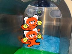 -青岛东方影都融创水世界