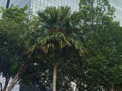 -吉隆坡皇家朱兰酒店