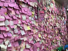 -雨霖祥和炖肉(南市店)