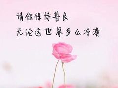 -华莱士·全鸡汉堡(合肥福乐万家店)