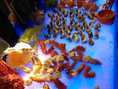 -广州花园酒店-凌璇阁360度高空海鲜自助餐CAROUSEL