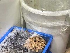 -冯姐生蚝(迎宾广场店)