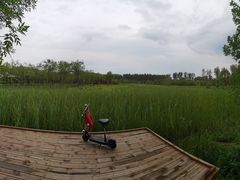 -东郊湿地公园
