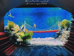 -太平洋海底世界