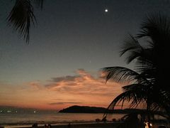 -真浪花园海鲜餐馆