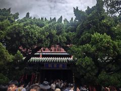 -蓬莱阁景区