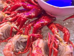-红盔甲·小龙虾(车公庙店)