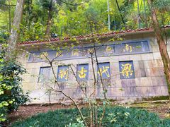 -东天目山风景区