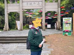 -常德桃花源景区