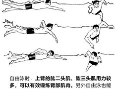 -LYB李永波羽毛球培训(松江袜子弄店)