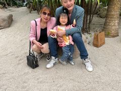 -南通洲际绿博园