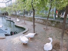 -水绘园