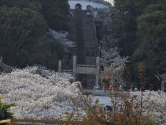 -苏州上方山国家森林公园